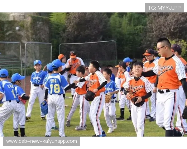 棒球运动青少年参与热情持续上升，棒球青训